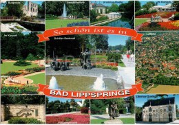 So Schön Ist Es In Bad Lippspringe - Burgruine - Im Kurpark - Schäfer-Denkmal - 195 - Germany - 2009 Gelaufen - Bad Lippspringe