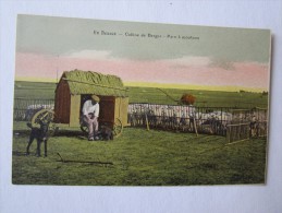 Agriculture En Beauce Cabine De Berger Parc à Moutons Mouton - Tracteurs