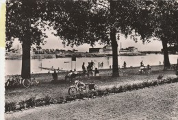 CHALON SUR SAONE (Saône Et Loire) - Les Daims Du "Bois De Boulogne" - Très Animée - Chalon Sur Saone