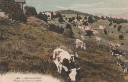 AIX LES BAINS (Savoie) - Plateau De Revard - Colorisée - Aix Les Bains