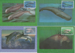 THAILAND, 1998, 4 MAXI CARDS, WHALES, DOLPHINS, DUGONGS, - Ballenas