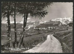 FELDIS VEULDEN GR Mit Ringelspitze 1952 - Feldis/Veulden