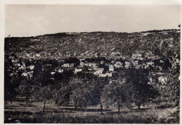 MUTZIG  -  Vue Générale Et Le Vignoble - Mutzig