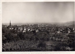 MUTZIG  -  Vue Générale - Mutzig