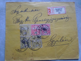 Hungary -  Registered  Cover -  Füzesgyarmat  To  Gyula  1903  -  D128805 - Cartas & Documentos