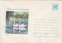 15320- BIRDS, SWANS, DEER, COVER STATIONERY, 1977, ROMANIA - Cygnes