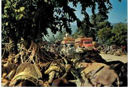 Amérique - Haïti - Scène De Marché - Haiti