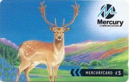 UK (Mercury) - Fallow Deer (The Fairer Way To Call), 44MERB-MER568A, Used - [ 4] Mercury Communications & Paytelco