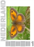 Nederland  2014  Vlinder 5  Oranje Zandoogje        Postfris/mnh/sans Charniere - Personalisierte Briefmarken