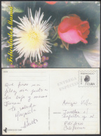1999-EP-72 CUBA 1999. Ed.29m. MOTHER DAY SPECIAL DELIVERY. ENTERO POSTAL. POSTAL STATIONERY. FLOWERS. FLORES. USED. - Cartas & Documentos