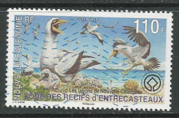 Nieuw-Caledonie, Yv 1172 Jaar 2013, Gestempeld, Zie Scan - Used Stamps