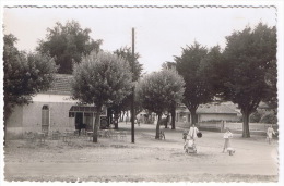 THARON  LA PLACE DE LA CONCORDE - Tharon-Plage