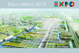 [ T11-034 ]  2015 Italy Milan Expo Universal Exposition , China Pre-stamped Card, Postal Stationery - 2015 – Milan (Italie)