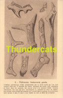 CPA PREHISTOIRE INSTRUMENTS GRAVES - Histoire