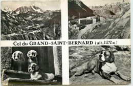 SUISSE BOURG SAINT PIERRE 4 VUES DU COL DU GRAND SAINT BERNARD AVEC CHIEN ET CHIOT - Bourg-Saint-Pierre 
