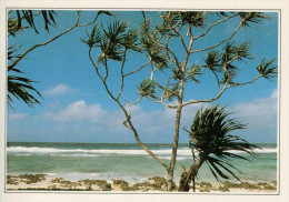 VANUATU:  UNA SPIAGGIA DELL'ARCIPELAGO      (NUOVA CON DESCRIZIONE DEL SITO SUL RETRO) - Vanuatu