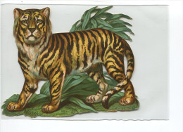 PRIX FIXE  CHROMO DECOUPIS TIGRE     12 CM X 10 CM CMTRES BON ETAT - Animales