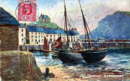 The Harbour, Ilfracombe - Ilfracombe