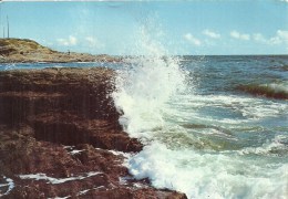 PAYS DE LA LOIRE - 44 - LOIRE ATLANTIQUE -PREFAILLES - Côte Sauvage - Préfailles