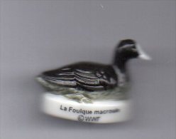 Fève Brillante -  OISEAU -  La Foulque Macroule CANARD WWF - Animaux