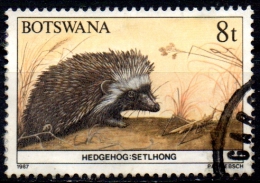 BOTSWANA 1987 Animals -   8t. - Hedgehog  FU - Botswana (1966-...)