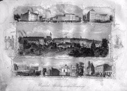 Altenburg  Thuringia, Germany, Leipzig, 23 X 31 Cm, Original Engraving, 1852 - Altenburg