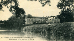 CARQUEFOU - CHATEAU DE SEILLERAYE, PRIS DE L'ETANG - Carquefou