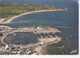 LESCONIL (29-Finistère), Le Port De Pêche Et La Criée, Ed. Jack 1993 - Lesconil