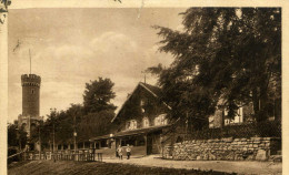 AK Jena - Forsthaus - 1919 - - Jena