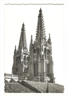 Cp, Espagne, Burgos, Cathédrale, Les Clochers - Burgos