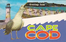 Greetings From Cape Cod Massachusetts - Cape Cod