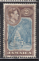 Jamaica Used Scott #126 2sh Bamboo Walk - George VI Scenics - Jamaïque (...-1961)