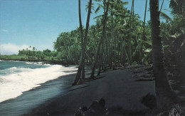 Kalapana - Black Sands Beach - Hawaï