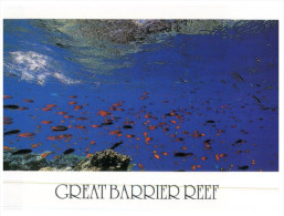 (538) Australia - QLD - Great Barrier Reef - Great Barrier Reef