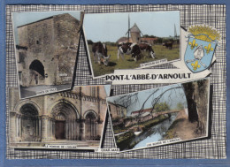 Carte Postale 17. Pont-l'Abbé-d'Arnoult   Le Moulin Blason  Trés Beau Plan - Pont-l'Abbé-d'Arnoult