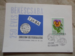 Hungary  Békéscsaba 250 éves - 1968 -      D129141 - Foglietto Ricordo