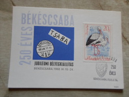 Hungary  Békéscsaba 250 éves - 1968 -   Stork - Cigognes   D129142 - Commemorative Sheets