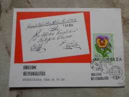 Hungary  Békéscsaba 250 éves - 1968 -Bélyegkiállítás  (KNER) -     D129156 - Herdenkingsblaadjes