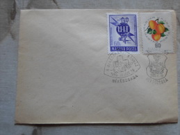 Hungary Békéscsaba  1965 - Békéscsabai Kórház 100 éves      D129178 - Local Post Stamps