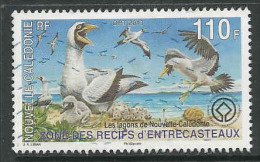 Nieuw-Caledonie, Yv 1172 Jaar 2013, Gestempeld, Zie Scan - Used Stamps