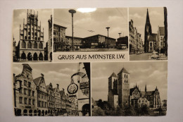 (6/4/25) AK "Gruss Aus Münster I.W." Mehrbildkarte Mit 5 Ansichten - Muenster