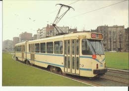 Bruxelles -- Voiture  De  Tramway  P. C. C. - Série  7800.    (2 Scans) - Vervoer (openbaar)