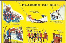 Carte Glacée Des Plaisirs Du Skieur  Voir Scan - Sports D'hiver