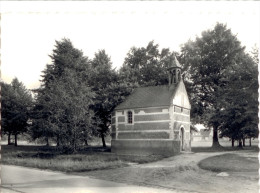 Haacht. Haecht. St. Adrianuskapel - Haacht