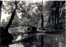 Haacht. Haecht. Vijvers En Slotgracht Van Het Breugels Gasthof - Haacht