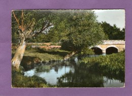 Près Du Vieux Pont - Oblitérée à  MAROLLES-les-BRAULTS  - 1959 - - Marolles-les-Braults