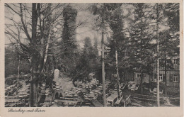 AK Garten Steinberg Gasthaus Turm Bei Wernesgrün Rodewisch Wildenau Stützengrün Rothenkirchen Crinitzberg Brunn Vogtland - Crinitzberg