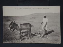 FRANCE - MAROC - Scénes Et Types Marocains - Détaillons Collection - ¨Pas Courant - Lot  5179 - Altri & Non Classificati