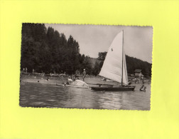 LAC De PALADRU CHARAVINES - Une Plage - Paladru