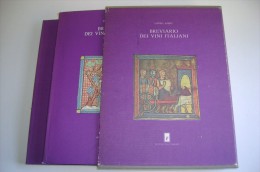 M#0D3 Andò-Plessis BREVIARIO DEI VINI DI FRANCIA Edizioni Del Tornese 1980/ENOLOGIA - Andere & Zonder Classificatie